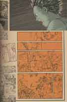 Planches brutes!