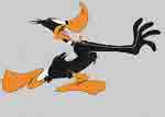 La chasse au canard est ouverte!